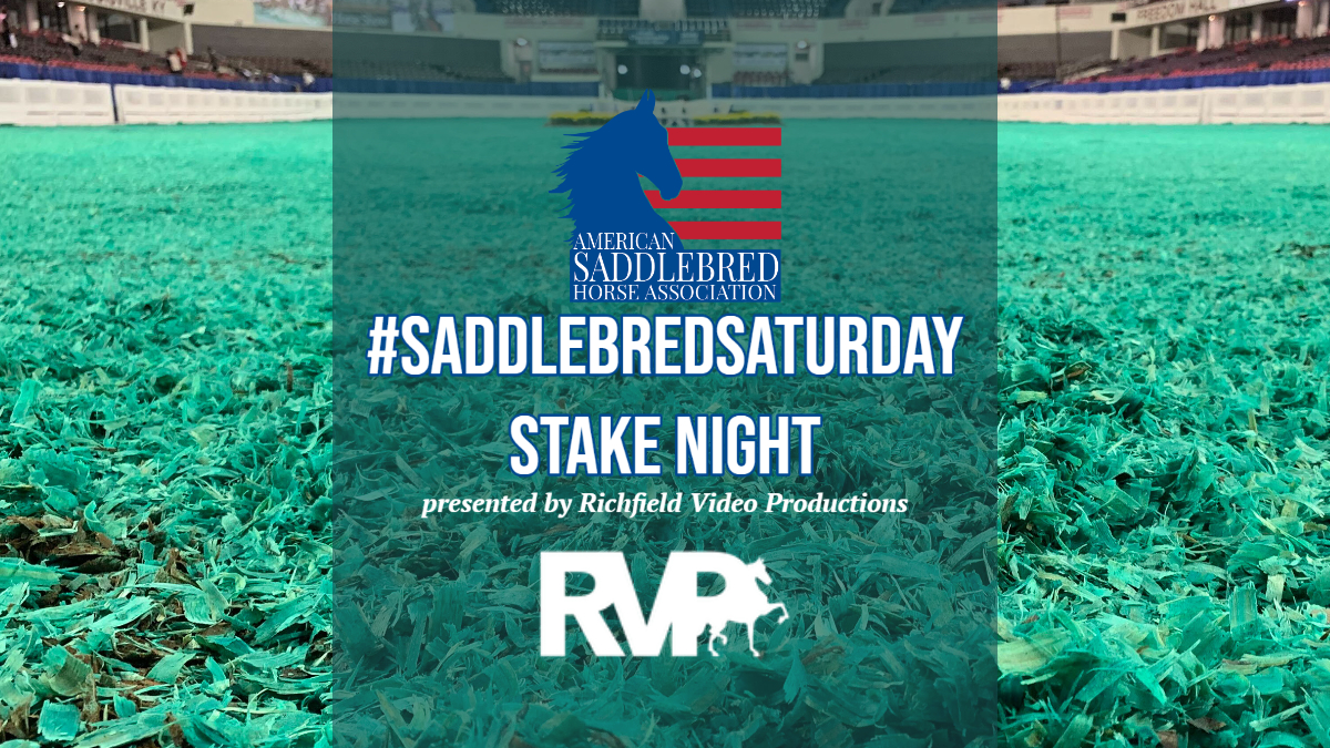 #SaddlebredSaturday Stake Night